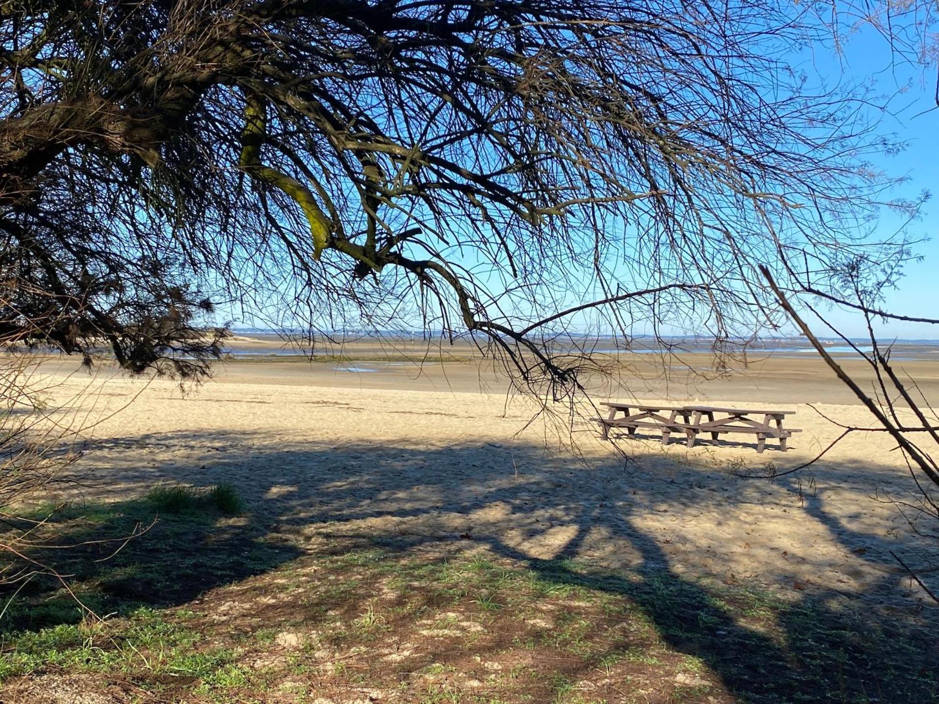 Charme & Confort- Les Cottages Du Bassin D'Arcachon- Petit-Dejeuner Sur Demande - Nuitee, Court Sejour, Semaine Gujan-Mestras Zewnętrze zdjęcie