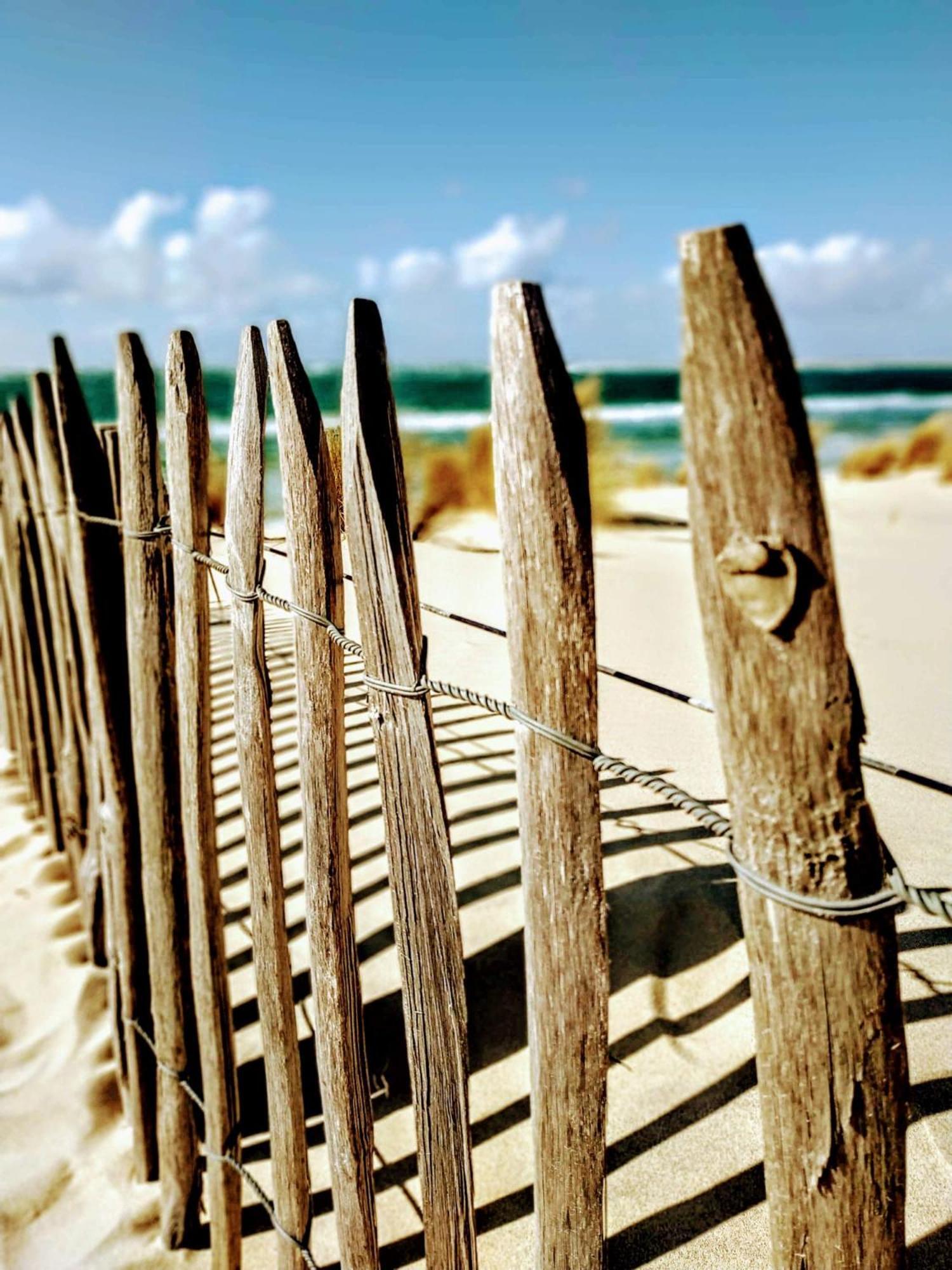 Charme & Confort- Les Cottages Du Bassin D'Arcachon- Petit-Dejeuner Sur Demande - Nuitee, Court Sejour, Semaine Gujan-Mestras Zewnętrze zdjęcie